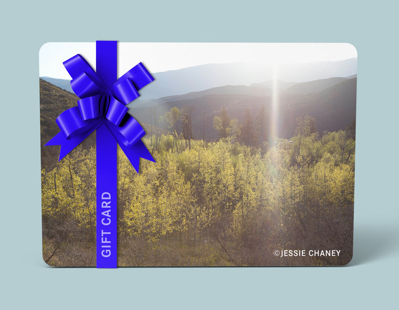 Jessie Chaney Gift Card-Every Picture Tells...